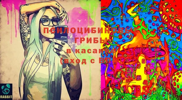 мяу мяу мука Сосновый Бор