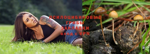 jwh Сосновоборск