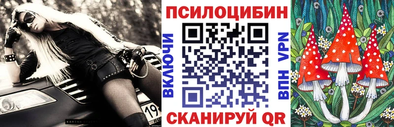 Псилоцибиновые грибы Cubensis  Купить закладки  Реж 